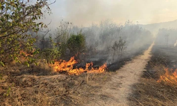 Rasadnik fire extinguished by 15 firefighters with eight fire trucks