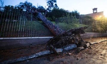 Severe storm hits Rome, month's worth of rain falls in just one hour