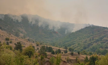 Пожарот во Мариово не стивнува, нема опасност за верските објекти