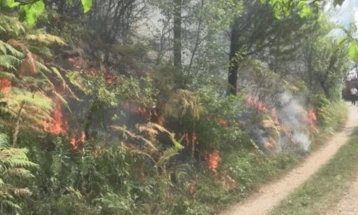 Пожарот во Националниот парк Дрина се шири и се приближува до куќи