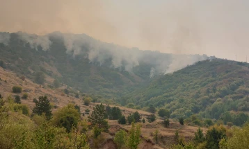 Пожарот во Мариово е под контрола, но будно се следат евентуални жаришта