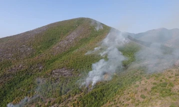 CMC: Prilep wildfires mostly contained, five burning nationwide