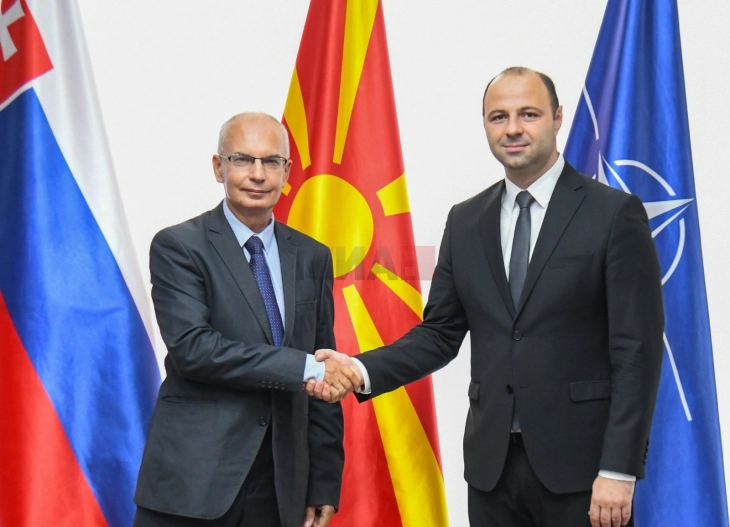 Takimi i ministrit Misajllovski me ambasadorin e Sllovakisë, Henrik Markush