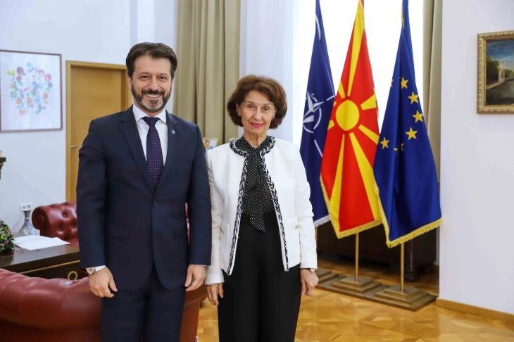 Siljanovska Davkova meets with IOM deputy regional director Aleksoski