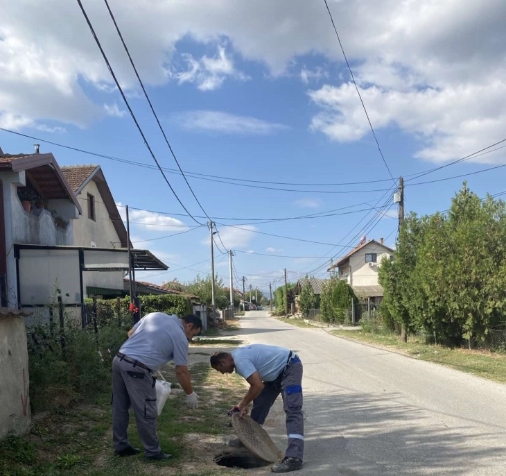 Општина Илинден: Извршена есенска дератизација и дезинфекција