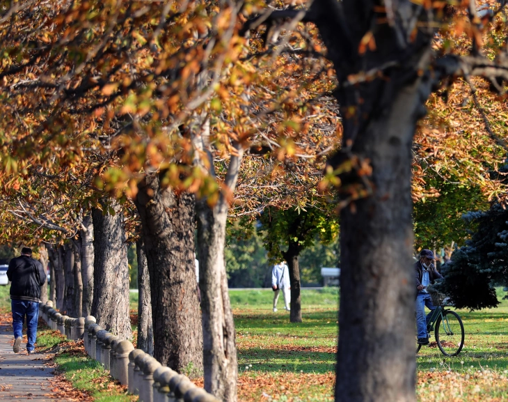 Weather: Chilly morning, sunny day; high 28°C