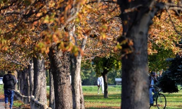 Weather: Chilly morning, sunny day; high 28°C