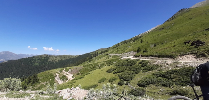 Tribunë për mbrojtjen e biodiversitetit të Malit Sharr