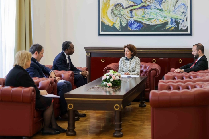 President Siljanovska Davkova meets head of WHO Office in Skopje