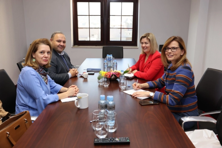 Energy Minister Bozhinovska meets UNDP Resident Representative Grigoryan