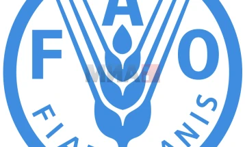 FAO: Muajin e kaluar është vërejtur rekord i lartë i çmimeve të produkteve ushqimore në botë