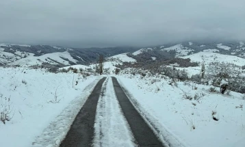 Расчистени снежните наноси, сите локални патишта и до највисоките населени места во Македонска Каменица се проодни