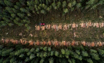 European Parliament votes for delay on anti-deforestation regulation