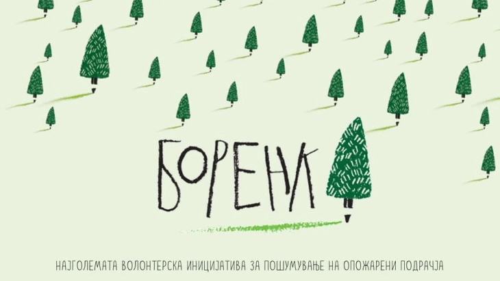 Преку популарната Боренка во с.Будинарци, беровско ќе се реализира најголемото европско волонтерско пошумување на опожарени површини