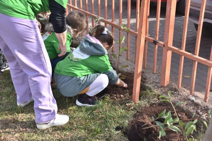 Во штипските детски градинки акција „Пошумуваме заедно за позелено утре“