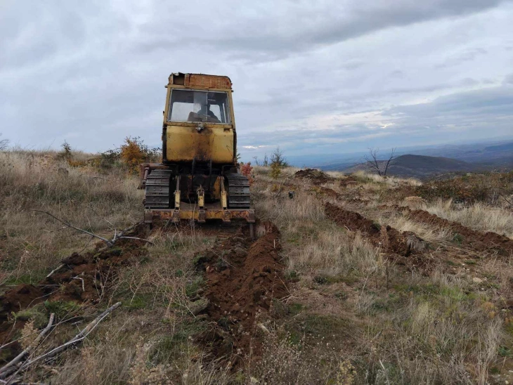 Кумановската подружница на „Национални шуми“ пошумува на површина во атар на село Степанце над Кокино