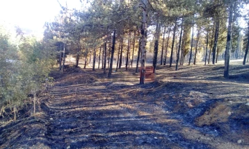 ЦУК: Девет пожари на отворено, сите се изгаснати