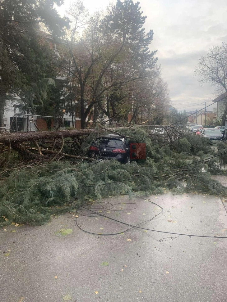 Era e fortë ka shkulur pemë, degë dhe një shtyllë në Kumanovë