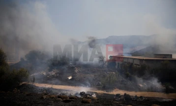 Më shumë se 50 të vdekur në sulmet izraelite në Liban