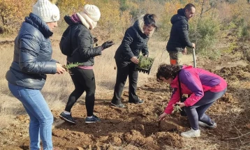 Акција за пошумување кај Гевгелија, засадени над 5.000 дрвца багрем и чемпрес