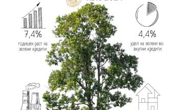 Annual growth of green loans at 7.4% as of September 2024 