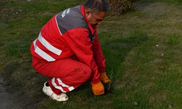 Организирана акција за садење дрвца во општина Кисела Вода