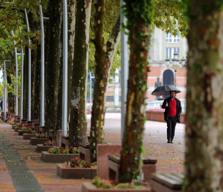 Weather: Morning fog and patchy clouds, rain later; high 12°C