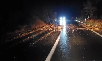 Одрони на патот Делчево - Македонска Каменица