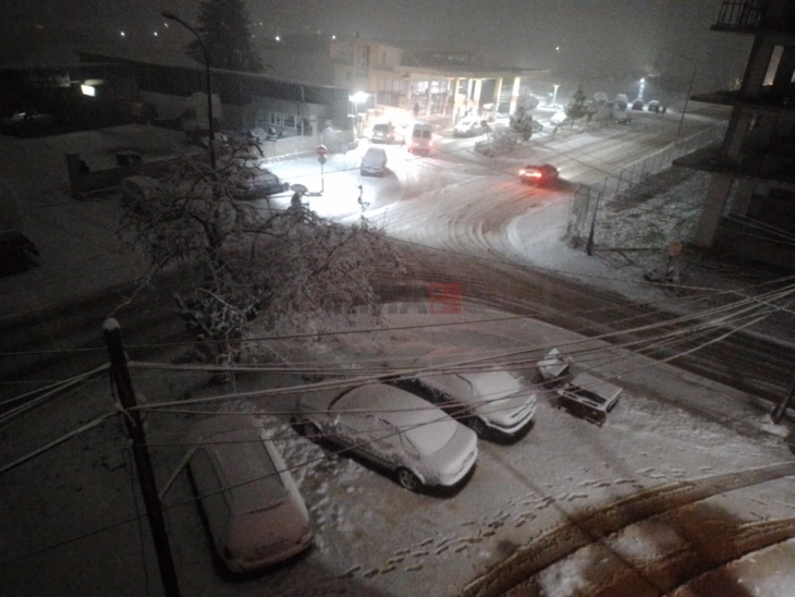 Снегот во Дебарско засега не создава поголеми проблеми