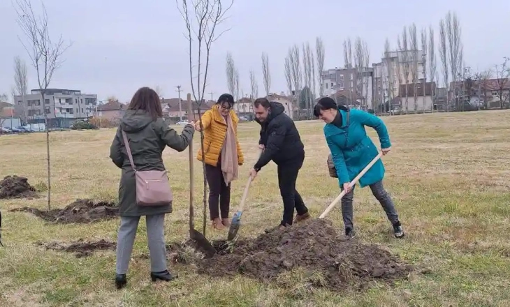 Акција за пошумување во општина Илинден