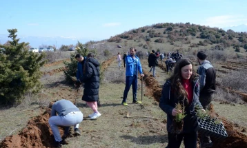 Министерот Меџити ја почнува акцијата за садење дрвца во општина Липково