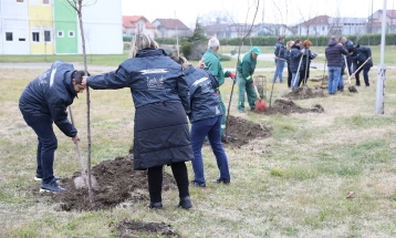 Вработени на охридскиот аеродром засадија дрвца покрај Охридското Езеро, а вработени на скопскиот аеродром во општина Илинден