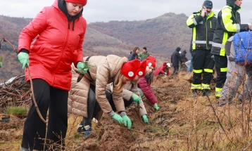 Успешно засадена СОНЧЕВА ГОРА 2024