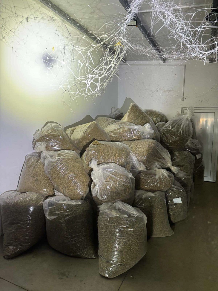 Sixteen people questioned by police after seizing nearly 4 tons of marijuana in Valandovo village