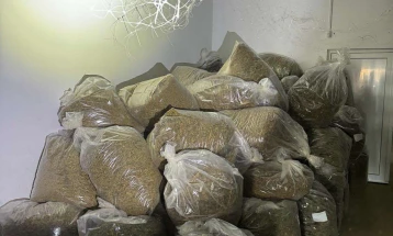 Sixteen people questioned by police after seizing nearly 4 tons of marijuana in Valandovo village