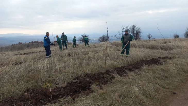 Масовно пошумување на Ајватовски рид во рамки на проектот „Зелена Општина Илинден“