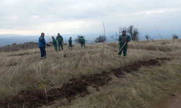 Масовно пошумување на Ајватовски рид во рамки на проектот „Зелена Општина Илинден“