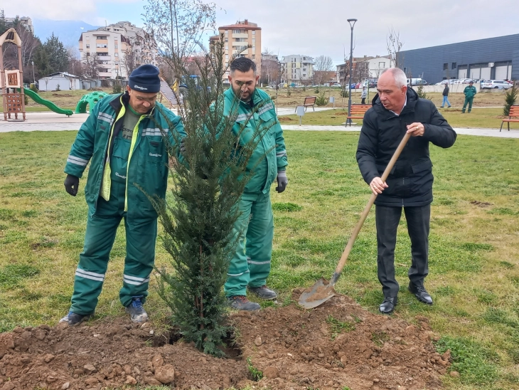 Во Битола засадени 1.500 садници на три локации во градот