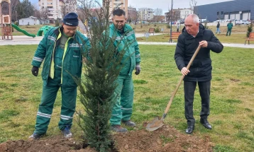 Во Битола засадени 1.500 садници на три локации во градот