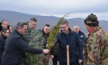 Tripunovski: Me rigjenerimin e sotëm të pyjeve u mbulua një sipërfaqe më e madhe, Maqedonia meriton hapësira të gjelbra