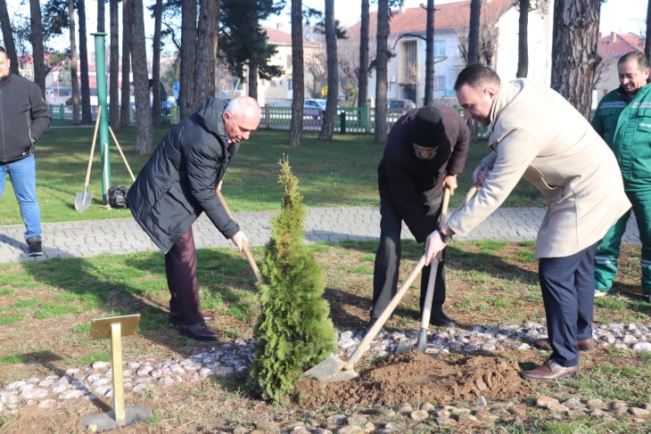 Актерот Борис Чоревски засади дрвце во Алеја на наградените за животно дело во Битола