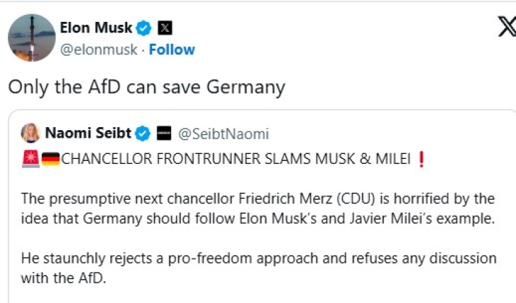 Elon Musk says only the far-right AfD can 'save Germany'