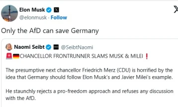 Elon Musk says only the far-right AfD can 'save Germany'