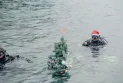 Divers decorate underwater Christmas tree in Ohrid 