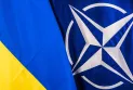 Sondazh: Pothuajse gjysma e ukrainasve e mbështesin hyrjen e Ukrainës në NATO pa territoret e okupuara