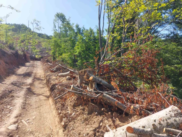 Дрвокрадци нападнале шумски полицајци во Велес