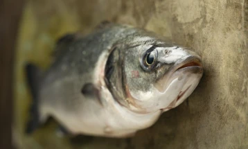 Храна што е штетна при доењето, ако се внесува прекумерно