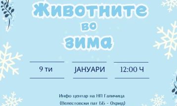 Едукативна работилница за деца „Животните во зима“ на Националниот парк „Галичица“