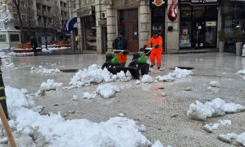 NP “Higjiena Komunale”: Po pastrohet bora në të gjitha komunat e Shkupit, largohen disa deponi të egra