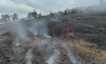 Велешките пожарникари изгаснале два пожари